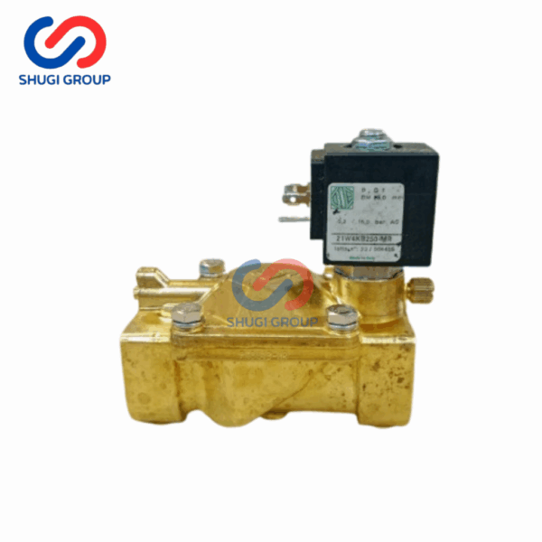 Solenoid Valve ODE 21WKB250-MR AC220V